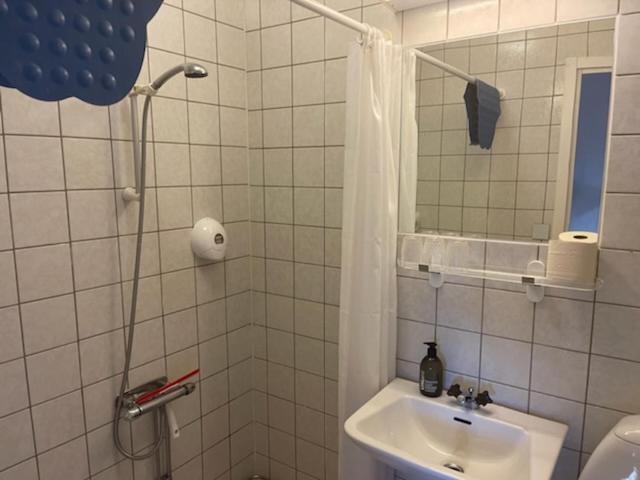 Dentas Hotell Raivi Hoting Dış mekan fotoğraf